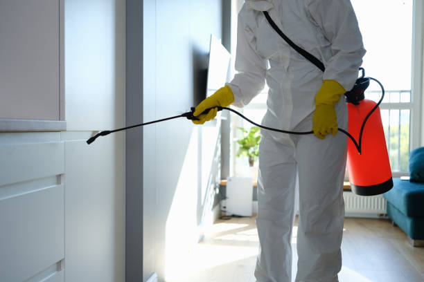 Best Mold Remediation for Healthcare Facilities  in Clinton, IL